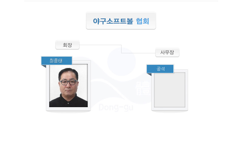 야구소프트볼