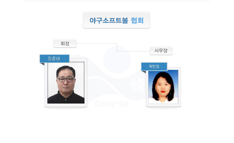 야구소프트볼