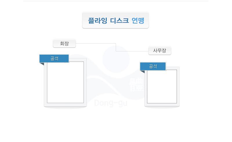 플라잉디스크