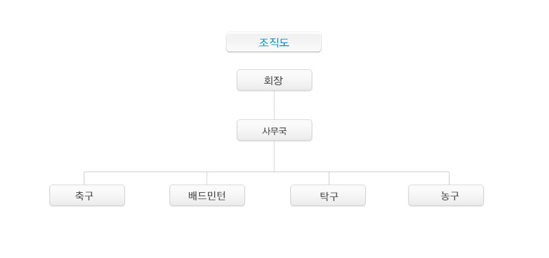 금호스포츠클럽 운영표 및 조직도